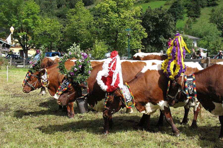 Harvest Festival in Salzburger Land
