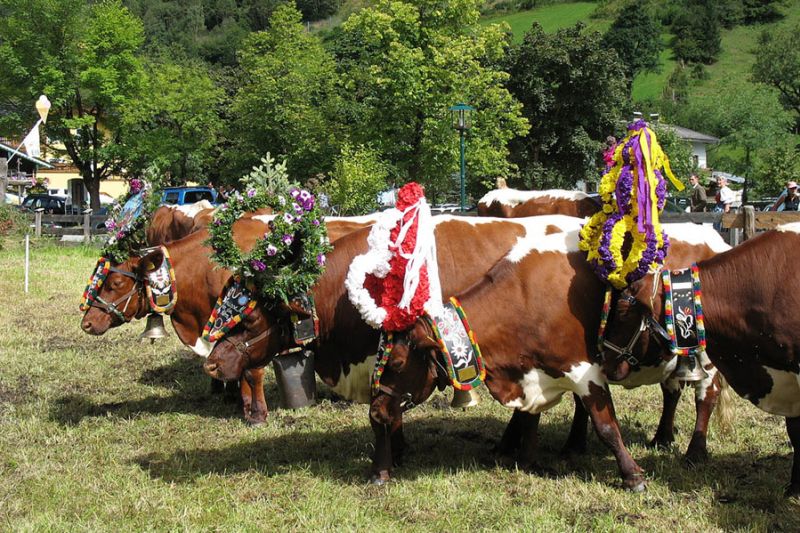 Bauernherbst Veranstaltung im Pinzgau